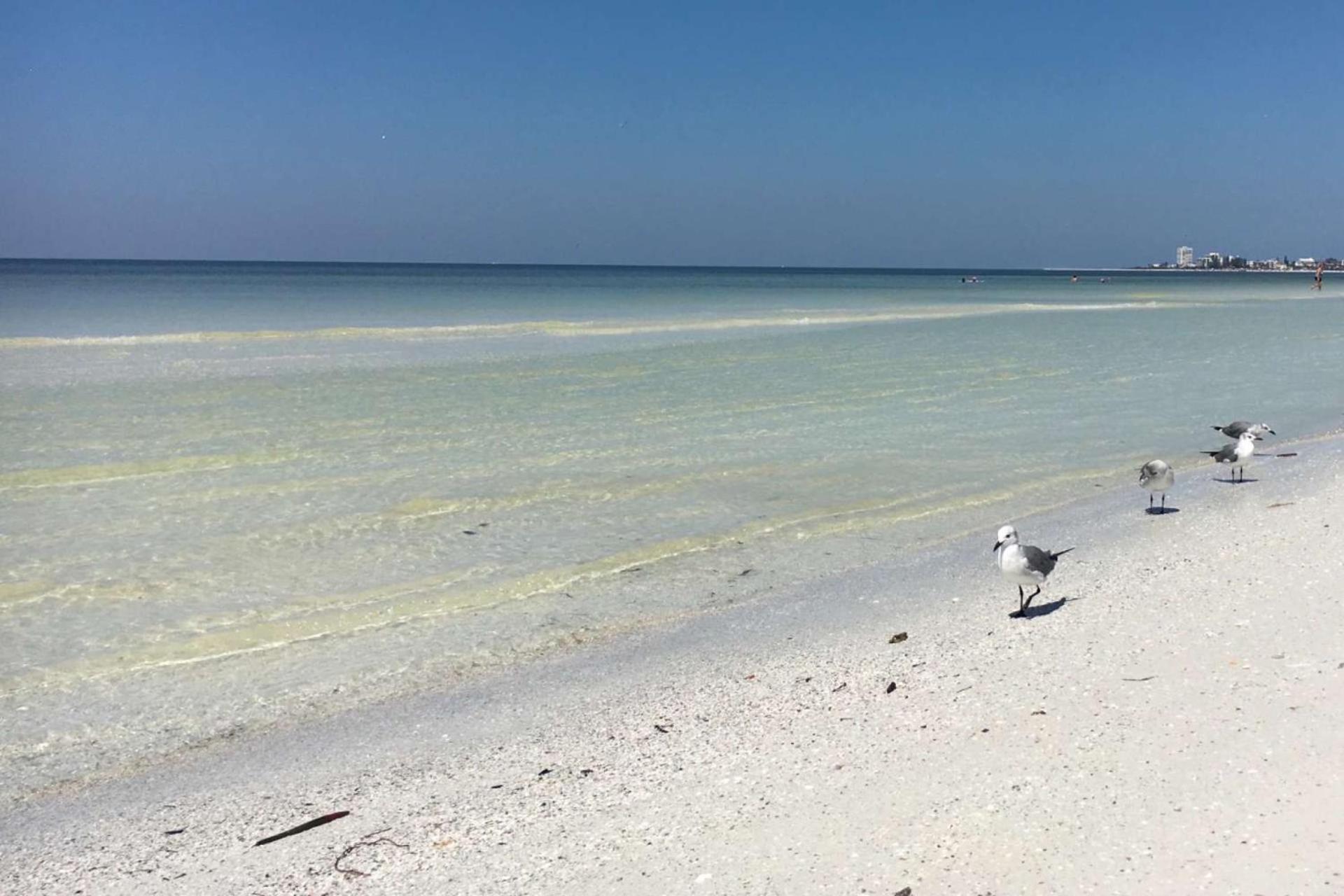 Casa Tranquilo Villa Sarasota megye Kültér fotó